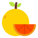 vegan,healthy food,food and restaurant,diet,vegetarian,fruit,orange