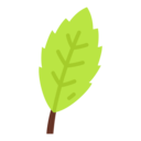 vegan,healthy food,food and restaurant,organic,vegetarian,herbs,basil,herb