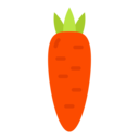 carrot,vegetable,vegan,healthy food,food and restaurant,organic,diet,vegetarian,vegetables ok 