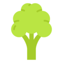 food,vegetable,vegan,food and restaurant,organic,diet,vegetarian,cauliflower,fruits and vegetables