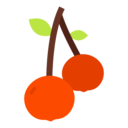 food,vegan,healthy food,food and restaurant,diet,vegetarian,fruit,cherry,cherries