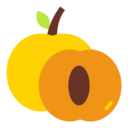 food,vegan,healthy food,food and restaurant,organic,diet,vegetarian,fruit,apricot