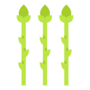 vegan,healthy food,food and restaurant,vegetarian,gastronomy,nutrition,asparagus