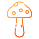 food,food and restaurant,nature,mushroom,Fungi