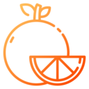 vegan,healthy food,food and restaurant,diet,vegetarian,fruit,orange