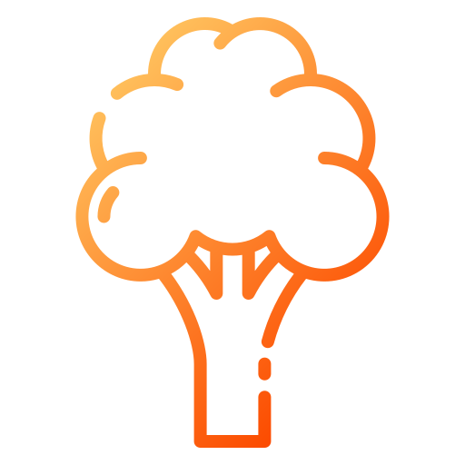Cauliflower