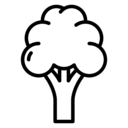 food,vegetable,vegan,food and restaurant,organic,diet,vegetarian,cauliflower,fruits and vegetables