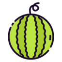 vegan,healthy food,food and restaurant,organic,diet,vegetarian,fruit,watermelon ok 