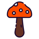 food,food and restaurant,nature,mushroom,Fungi
