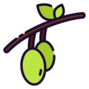 food,vegetable,healthy food,food and restaurant,organic,oil,olive oil,olives
