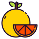 vegan,healthy food,food and restaurant,diet,vegetarian,fruit,orange