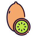 food,vegan,healthy food,food and restaurant,organic,diet,vegetarian,fruit,kiwi