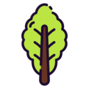 vegetable,vegan,healthy food,food and restaurant,organic,diet,vegetarian,lettuce