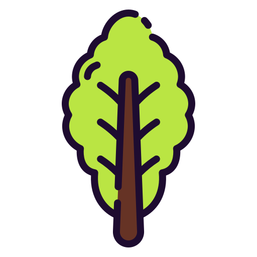 Lettuce