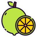 food,vegan,food and restaurant,organic,vegetarian,fruit,ingredient,lime,citric