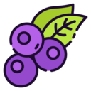 food,food and restaurant,healthy,fruit,blueberry,blueberries