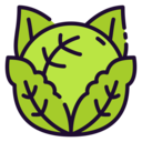 food,healthy food,food and restaurant,organic,diet,vegetarian,fruit,cabbage