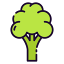 food,vegetable,vegan,food and restaurant,organic,diet,vegetarian,cauliflower,fruits and vegetables