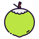 food,vegan,food and restaurant,vegetarian,fruit,coconut,natural