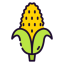 food,vegan,healthy food,food and restaurant,organic,diet,vegetarian,cereal,corn
