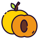 food,vegan,healthy food,food and restaurant,organic,diet,vegetarian,fruit,apricot