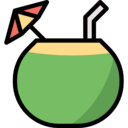 food,food and restaurant,party,leisure,alcohol,drinking,alcoholic drinks,holidays,cocktail,coconut,straw,coconut drink