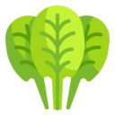 food,vegetable,vegan,healthy food,food and restaurant,organic,diet,vegetarian,spinach