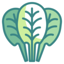 food,vegetable,vegan,healthy food,food and restaurant,organic,diet,vegetarian,spinach