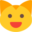 cat,emoji,feelings,smileys,emoticons ok 