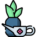 entertainment,nature,pot,plant,house things,gardening,hobbies and free time,garden,plants,flower,growth,plant pot,flowers
