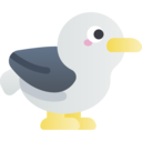 animals,flight,nature,bird,animal,fly,sea,fauna,seagull