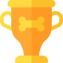 animals,pet,sports and competition,winner,award,cup,marketing,champion,bone,trophy,competition