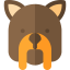 Favicon