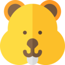 animals,wildlife,pet,animal kingdom,hamster,Rodent