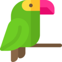 animals,nature,animal kingdom,zoo,bird,animal,birds,parrot,parrots