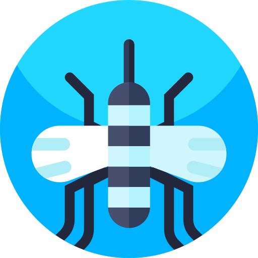 Mosquito