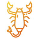 animals,animal kingdom,arachnid,scorpion,sting,venomous,predatory,scorpions