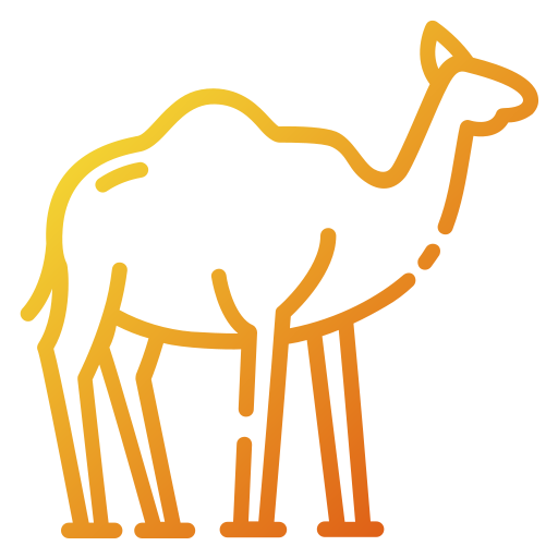 Dromedary
