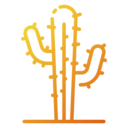 nature,plant,gardening,cactus,botanic,desert