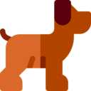 animals,pet,dog,mammals,veterinary