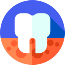 medical,healthcare and medical,dentist,dental,premolar,odontology,gum