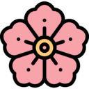 nature,plant,flower,flora,mugunghwa ok 