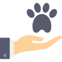 animals,pet,hand,cat,dog,pawprint,paw,veterinary
