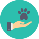 animals,pet,hand,cat,dog,pawprint,paw,veterinary