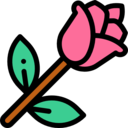 nature,botanical,farming and gardening,leaf,gardening,garden,flower,blossom,petals,rose ok 