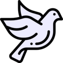 animals,peace,bird,animal,wedding,pigeon,dove,fly,wings