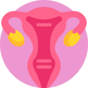 healthcare and medical,anatomy,ovary,reproductive system,fallopian tubes,female organs,uterus,ovaries