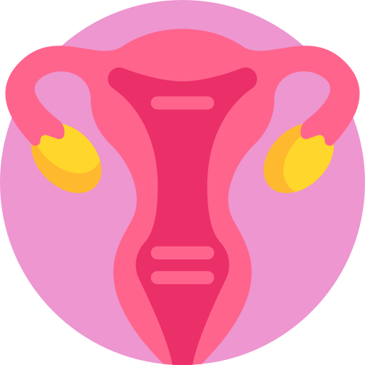 Uterus