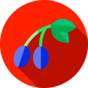 food,vegetable,healthy food,food and restaurant,organic,oil,olive,olives