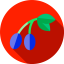 Fruits & Vegetables icon 64x64